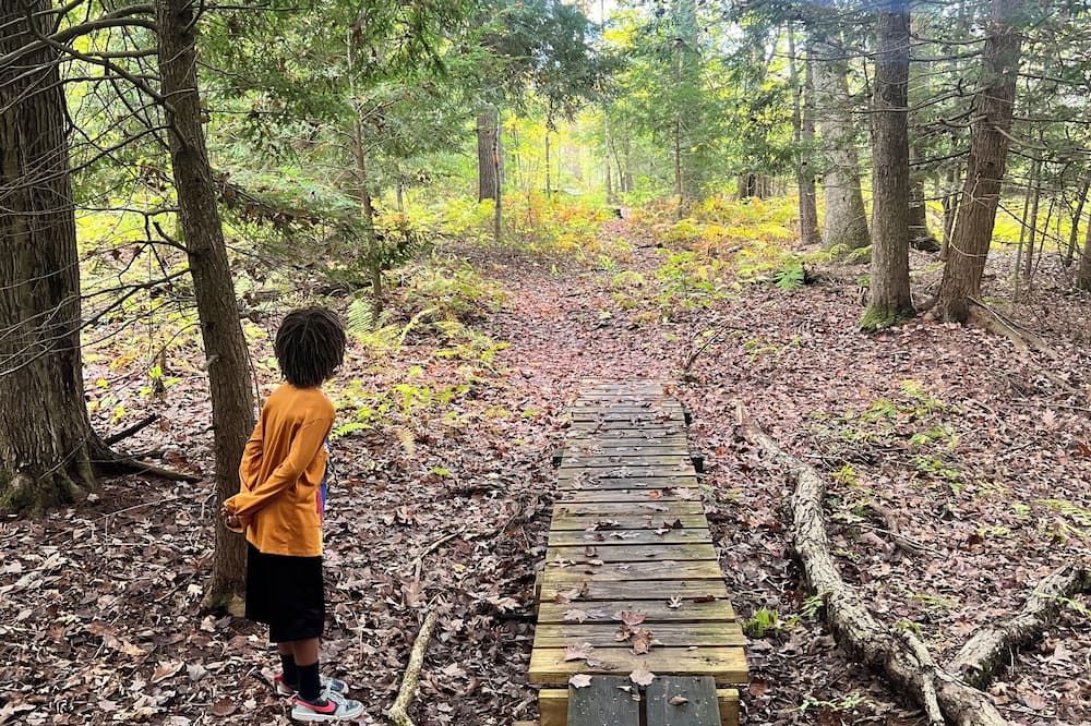 Amherst Woodland Escape - Amherst