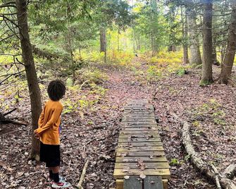 Amherst Woodland Escape - Amherst