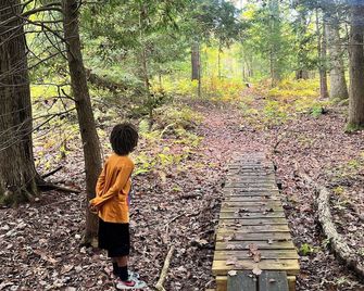 Amherst Woodland Escape - Amherst