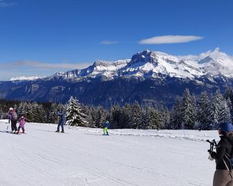 Apartment Combloux sleeps 4 at the foot of the slopes - Combloux - Servicio de la propiedad