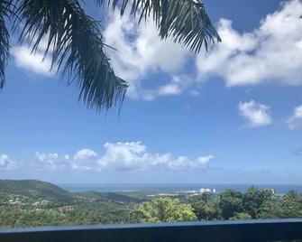 Million dollar view in Puerto Rico - Luquillo - Vista del exterior
