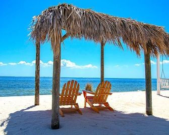 Rays by the Bay - Tampa - Beach