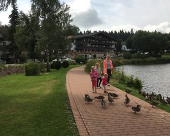 Fewo Andresen Hahnenklee - Hahnenklee - Annehmlichkeit