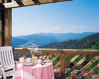 Hôtel Panorama - Munster - Balcony