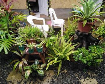 Garden View Inn - El Nido - Patio