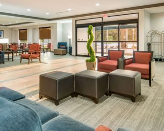 Comfort Suites Desoto Dallas South - DeSoto - Lobby