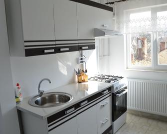 Alexys Residence 4 - Iaşi - Kitchen