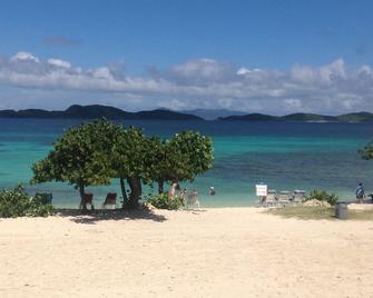 First floor oceanfront - one step to Sapphire Beach - Saint Thomas Island - Beach