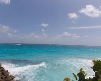 Spacious cool and breezy Apartments with a captured ocean view and the country - Diamond Valley - Beach