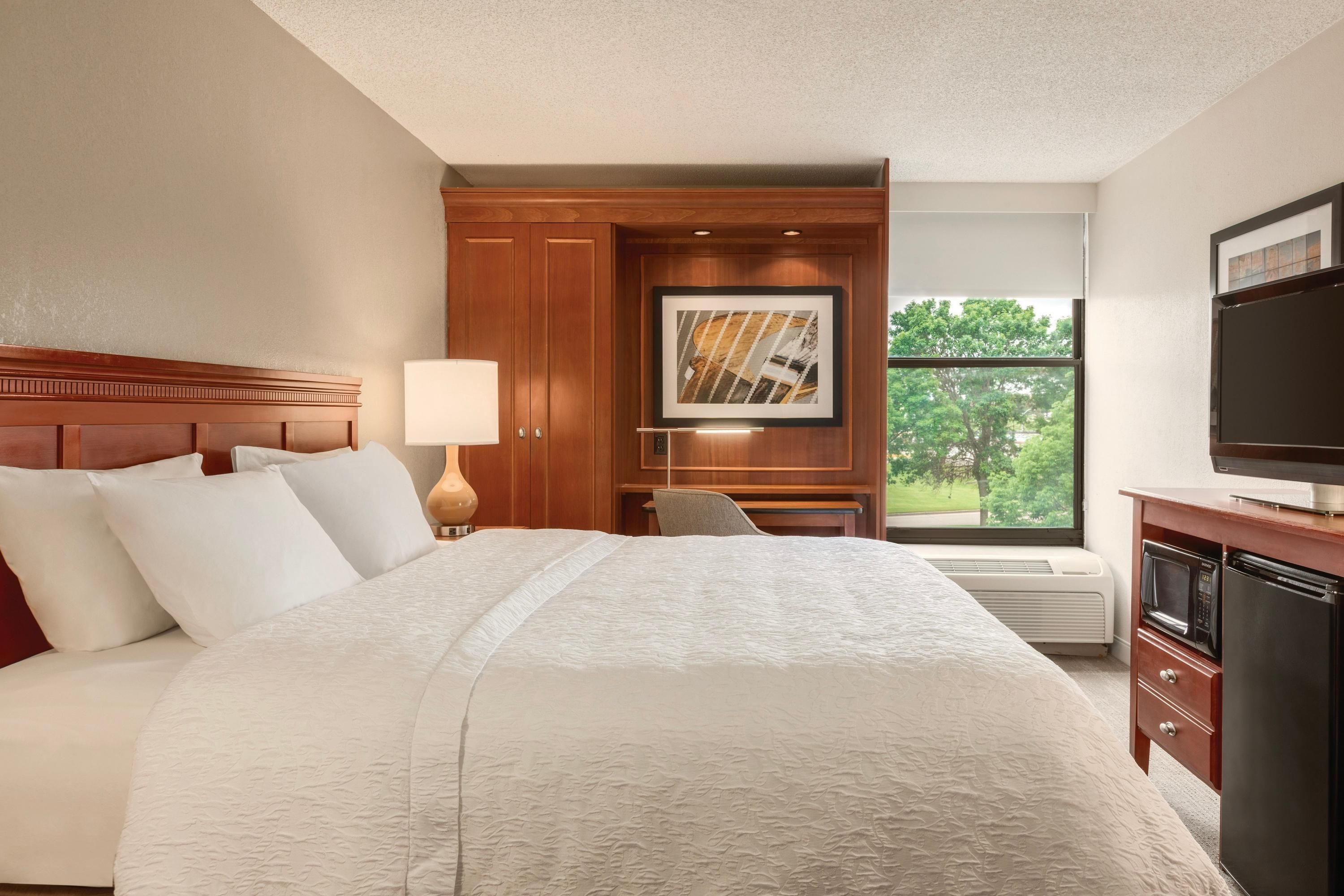 Hampton Inn Des Moines-Airport - דה מואן - חדר שינה