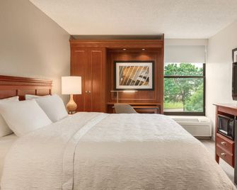 Hampton Inn Des Moines-Airport - Де-Мойн - Спальня