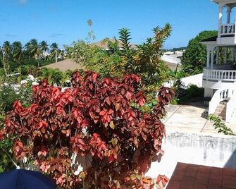 Sungold House Barbados - Saint Peter - Outdoor view
