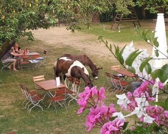 Hotel Alber - Leinfelden-Echterdingen - Βεράντα