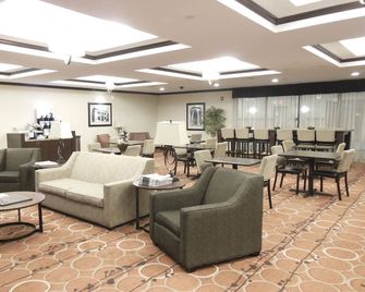 Holiday Inn Express & Suites Washington - Meadow Lands By IHG - Washington - Lounge