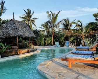 Lala Land Lodge - Kizimkazi - Pool