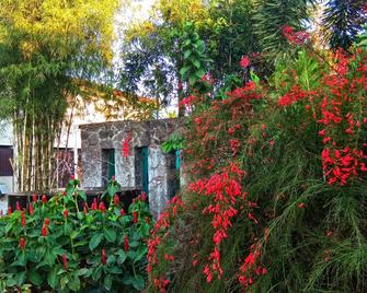 Asiatel Inn Sta. Rosa - Santa Rosa - Edificio