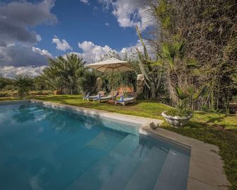 Ohorongo Private Game Reserve - Kamanjab - Pool