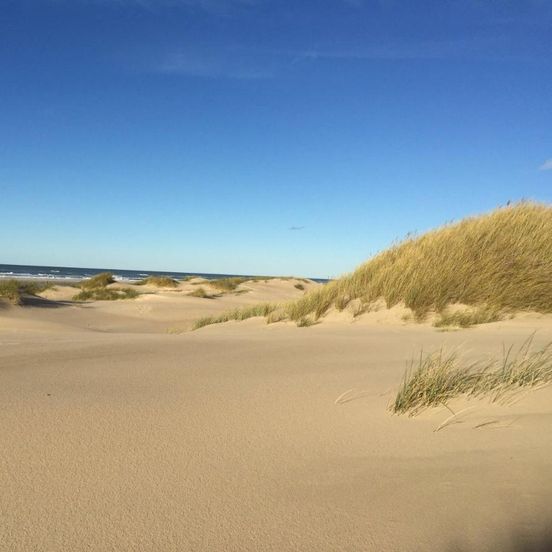 Holiday apartment by the sea and golf course – Blokhus