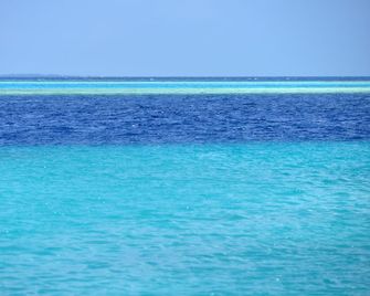 Eden Baani Lodge - Felidhoo - Playa