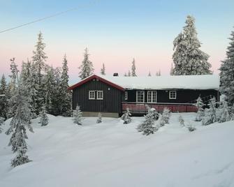 Three-Bedroom Holiday Home In Sjusjoen - Sjusjøen - Building