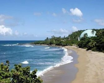 Casa Verde Hotel - Steps to the Beach | Pool, Restaurant & Bar - Rincon - Beach