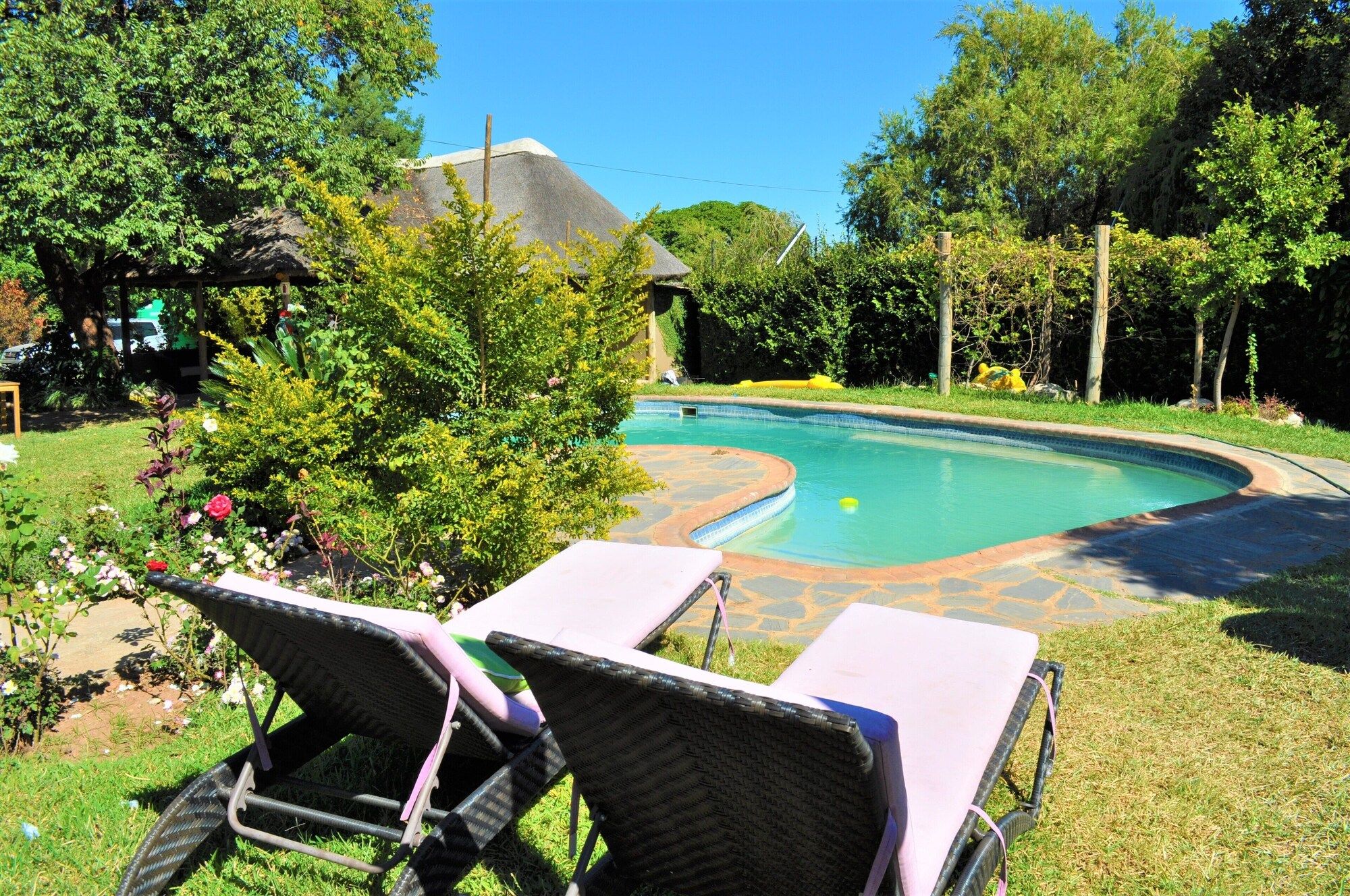 Natwange Backpackers - Lusaka - Piscina