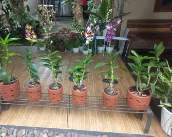 Hotel O Homestay Koe Syariah - Purwokerto