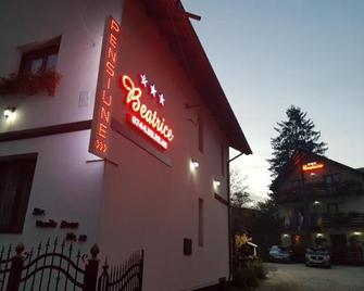 Pensiunea Beatrice - Vatra Dornei - Edificio