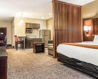 Comfort Suites Florence - Cincinnati South - Florence - Bedroom