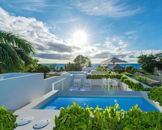 Palm Grove Villas & Hotel - Saint James - Pool