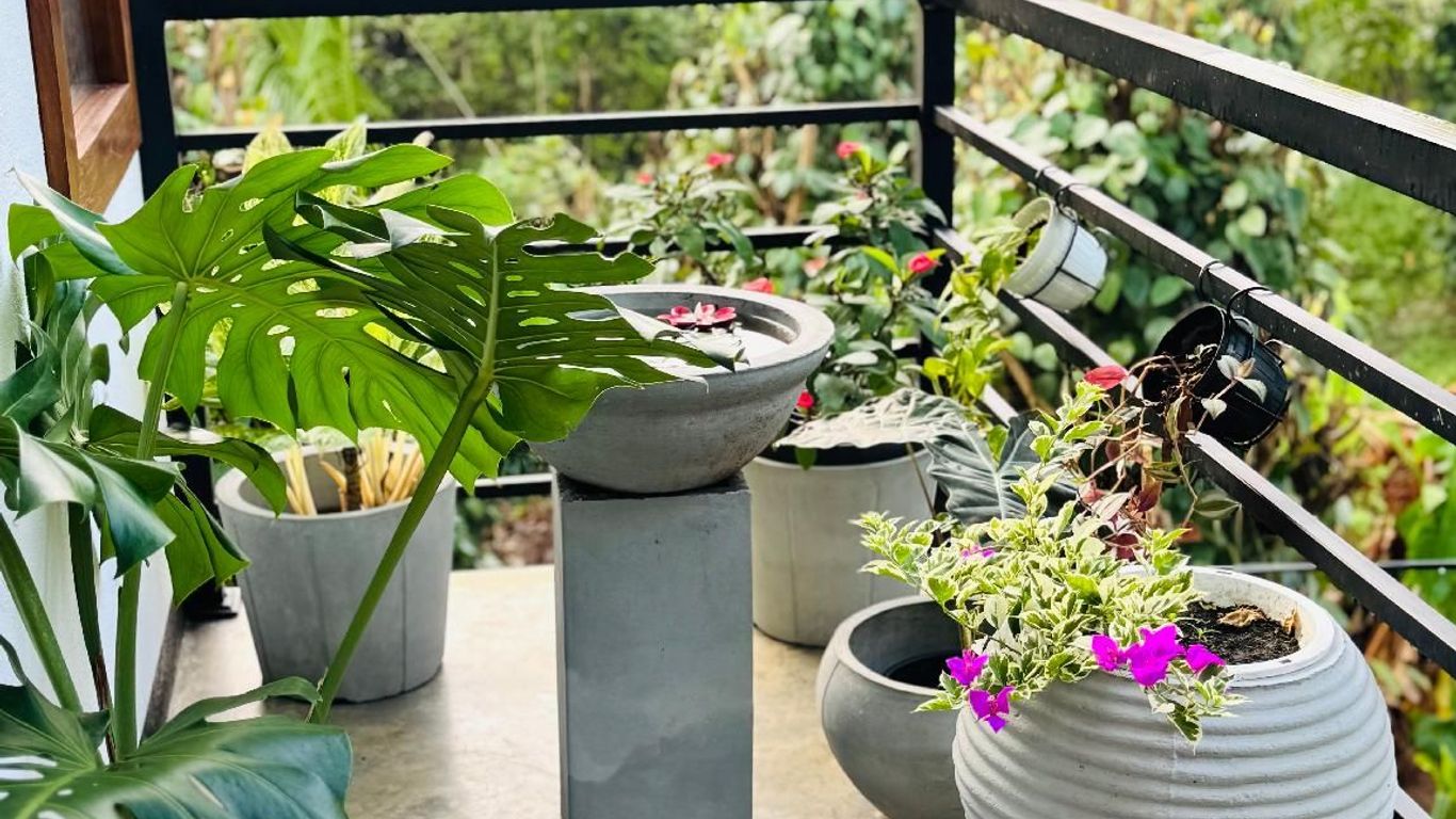 Green View Safari Resort