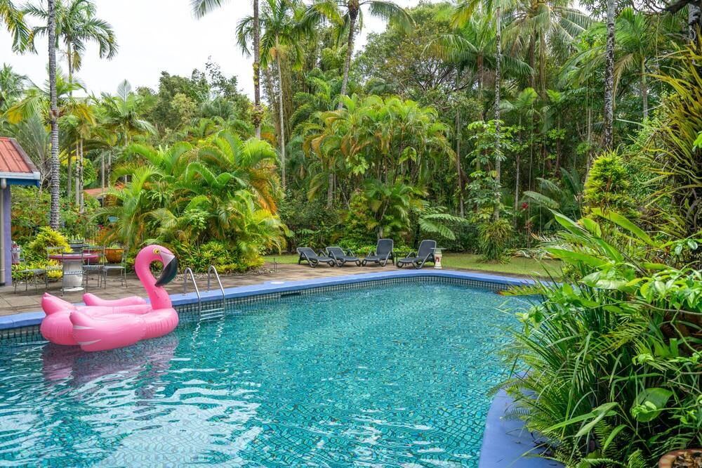 Pink Flamingo Resort - פורט דאגלאס - בריכה