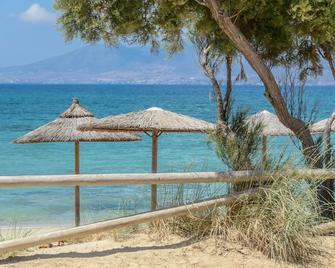 Comfort Garden & Sea View Apartment Glaronissi Beach - Naxos - Playa