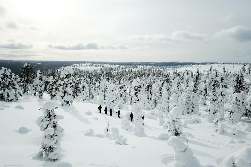 Ounasvaara Lakituvat chalets - Rovaniemi