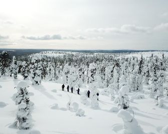 Ounasvaara Lakituvat chalets - Rovaniemi