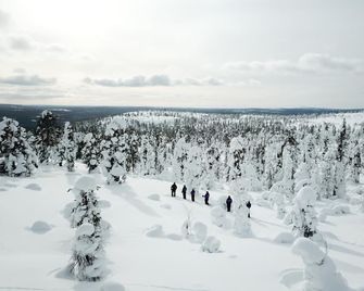 Ounasvaara Lakituvat chalets - Rovaniemi