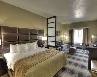 Comfort Inn & Suites Fort Worth West I-30 Nas Jrb - White Settlement - Ložnice