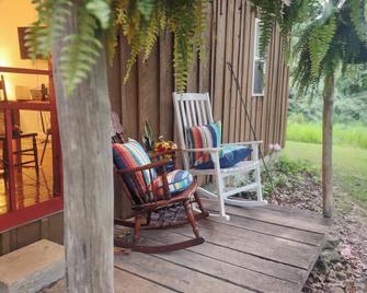 Delightful Cabin near a wildlife refuge, 6 miles to Carbondale Illinois. - Carbondale - Patio