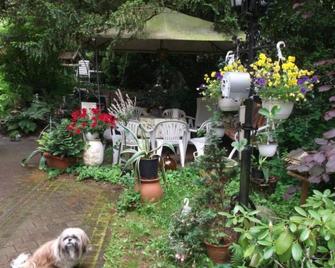 Pension und Ferienwohnung Christine Kilian - Eisenach - Patio