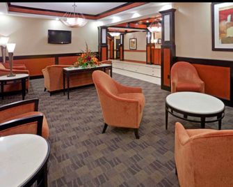 Comfort Inn & Suites Dallas Medical-Market Center - Dallas - Lounge