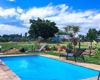 Addo Wildlife - Addo - Pileta