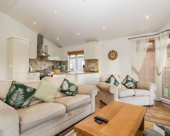 Blenheim Lodge - Weston-super-Mare - Living room