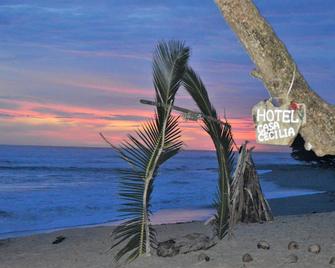 Casa Cecilia Beach Front - Carmen - Playa
