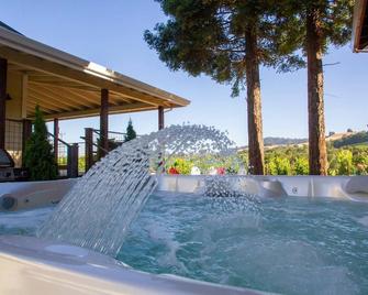 Stay on the vineyard, hot tub &pool. 5 Queen suites, chef's kitchen, wrap porch - Healdsburg - Pool