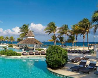 Melia Braco Village - Rio Bueno - Zwembad