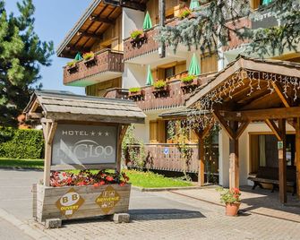Hotel Igloo - Morzine - Rakennus