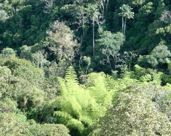 Kasaguadua - Reserva Natural - Salento - Вигляд зовні