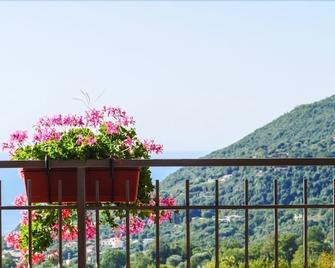 Al Boschetto - San Giovanni a Piro - Balkon