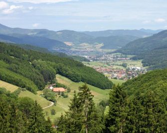 Hideaway near Black Forest - Bad Rippoldsau - Außenansicht
