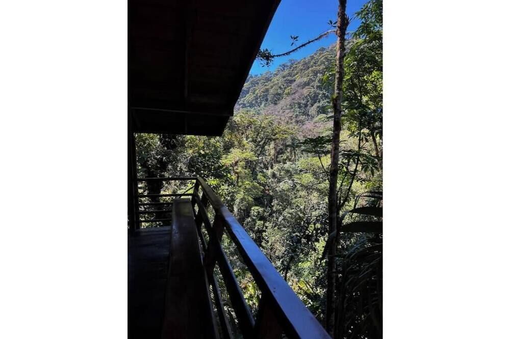 Unique eco-cabin inside cloudforest “PILA” - Cerro Punta - Balcón